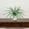 16" Artificial Boston Fern Plant in Decorative Cement Planter